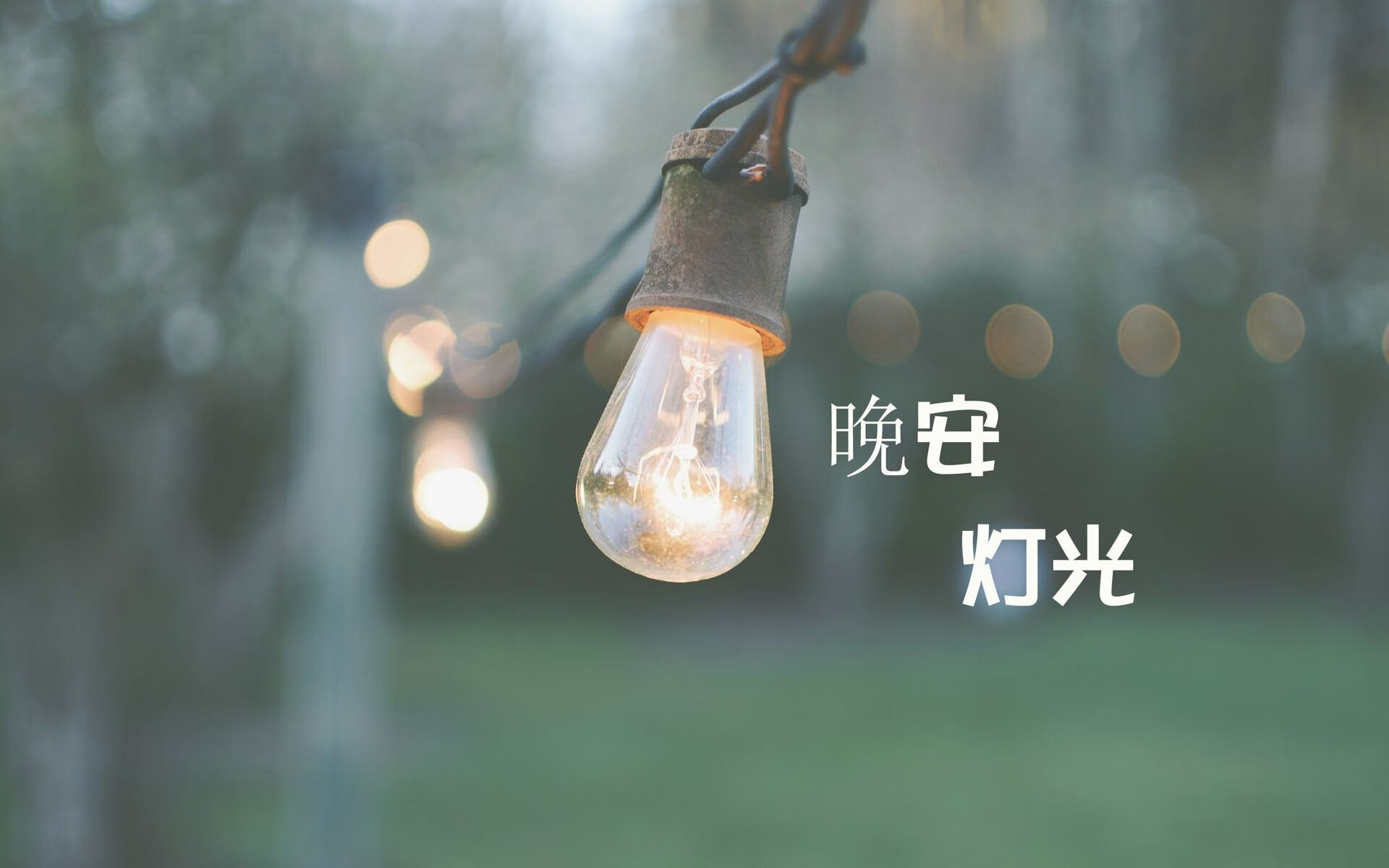 开云APP下载-【道奇队的打击火力】全队合力轰出20+全垒打，道奇队主力