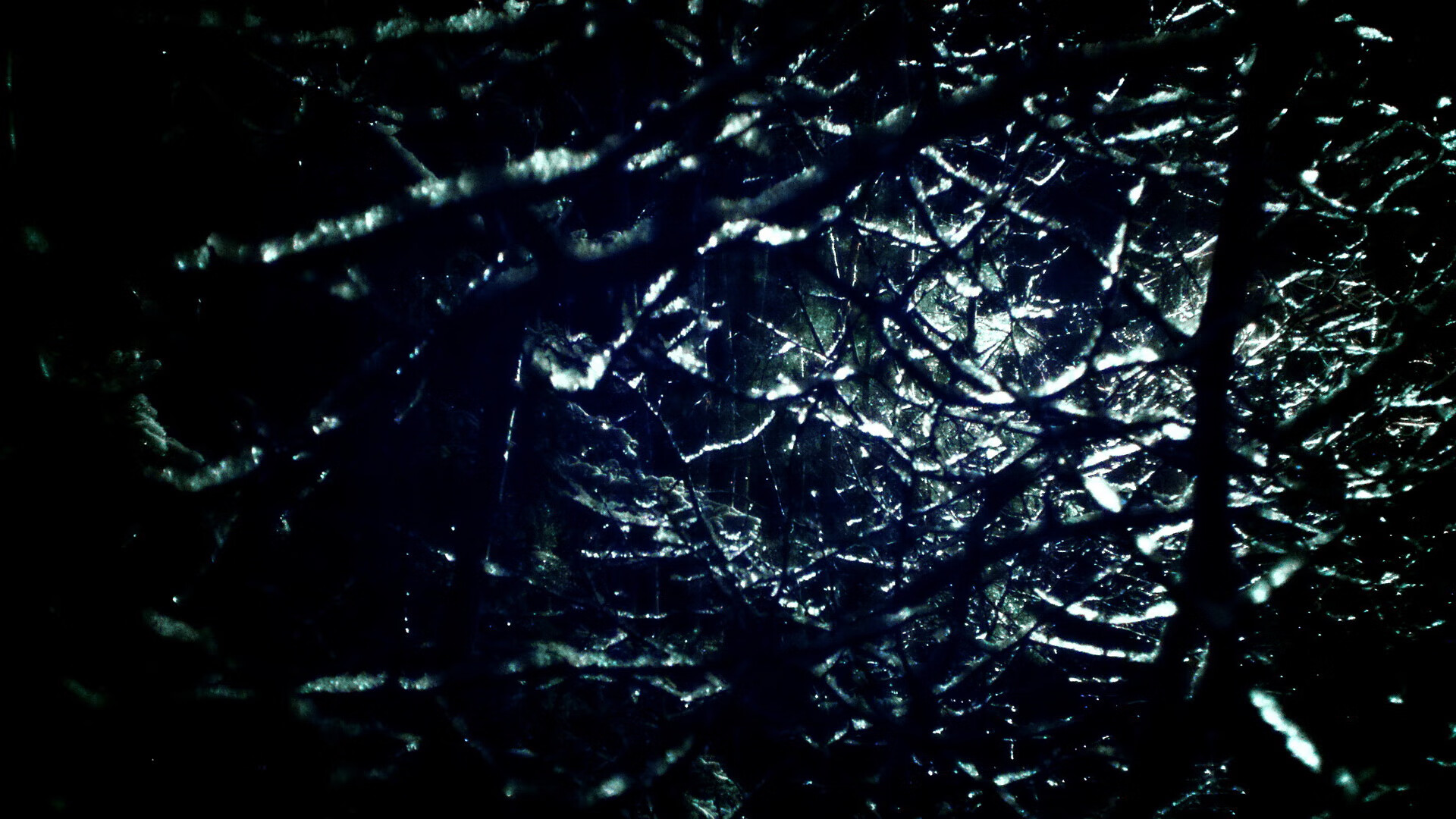 体育品牌市场影响力年度评估,体育品牌市场份额