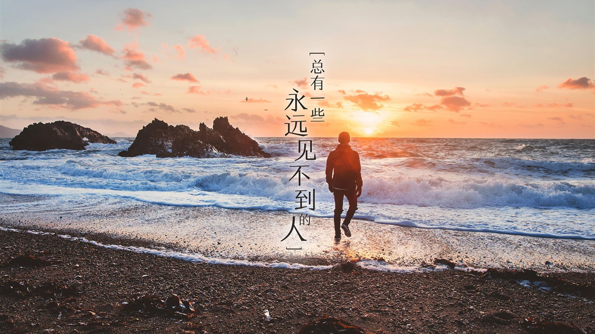 明星皇牌:本季最火爆的球员全名单,2021年最火的球星