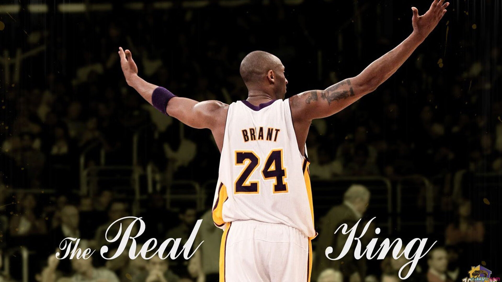 下载开云-CBA联赛直播成为新宠，粉丝热情持续升温，cba2020-2021直播平台